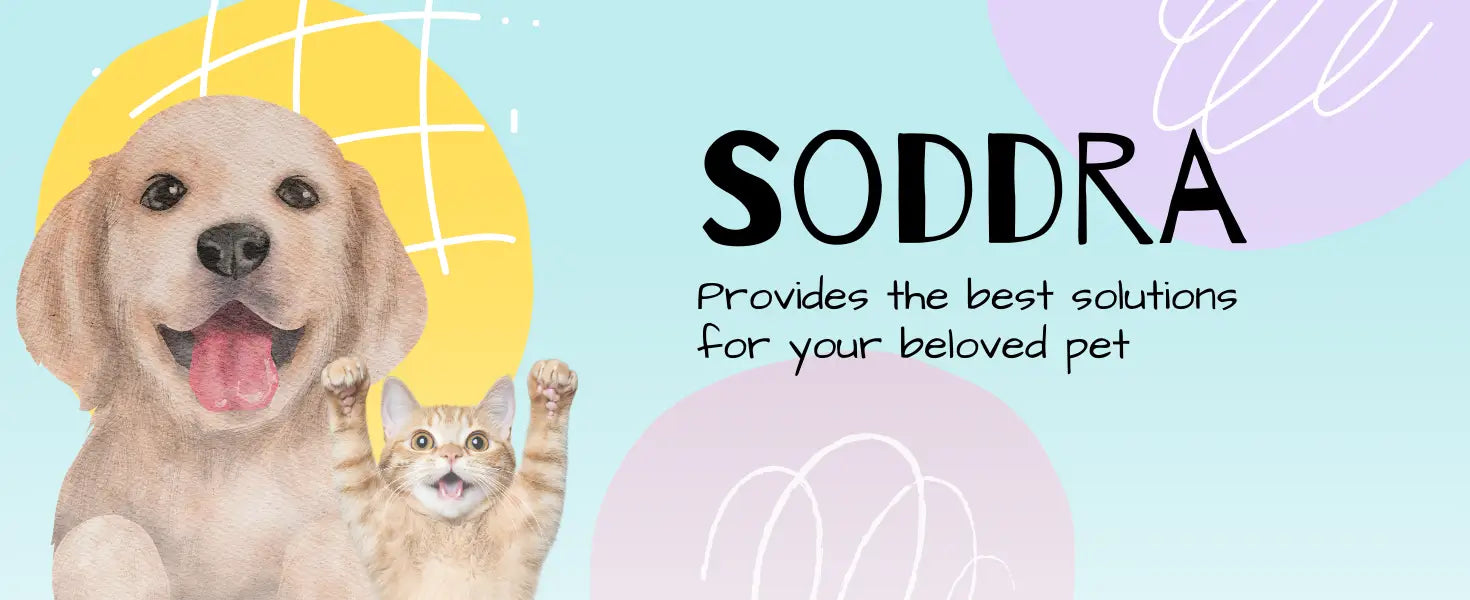 Soddra pet store USA