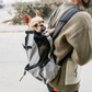 Dog Carrier Backpack for Small Dogs