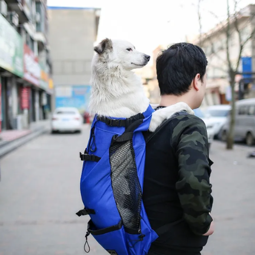 Dog Carrier Backpack for Small Dogs