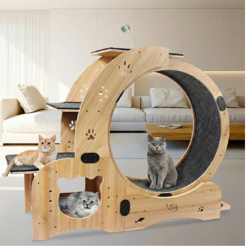 Premium 6-in-1 Cat Wheel Exercise & Fitness Wheel 