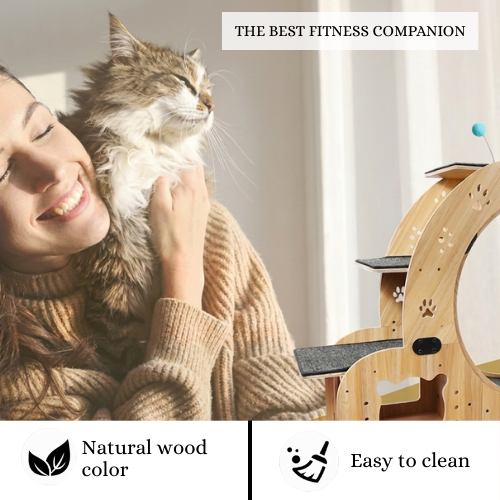 Premium 6-in-1 Cat Wheel Exercise & Fitness Wheel 