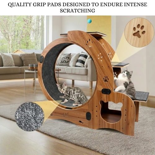 Premium 6-in-1 Cat Wheel Exercise & Fitness Wheel 