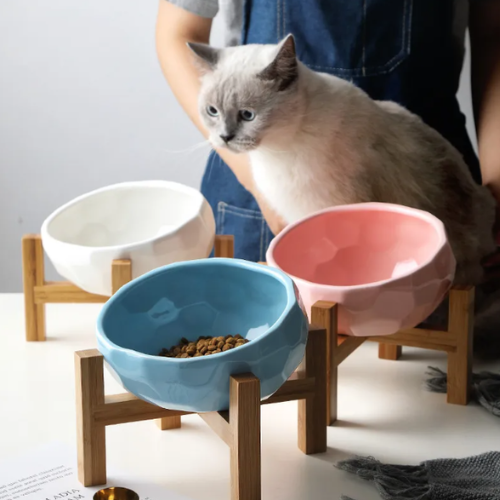 Ergonomic Oblique Pet Bowl for Cats & Dogs 
