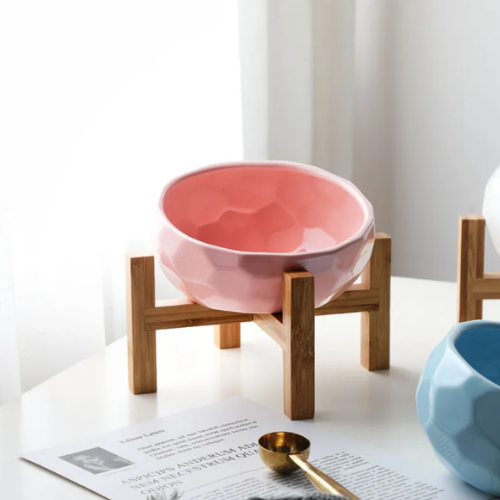 Ergonomic Oblique Pet Bowl for Cats & Dogs 