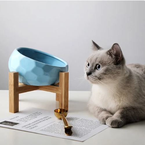 Ergonomic Oblique Pet Bowl for Cats & Dogs 
