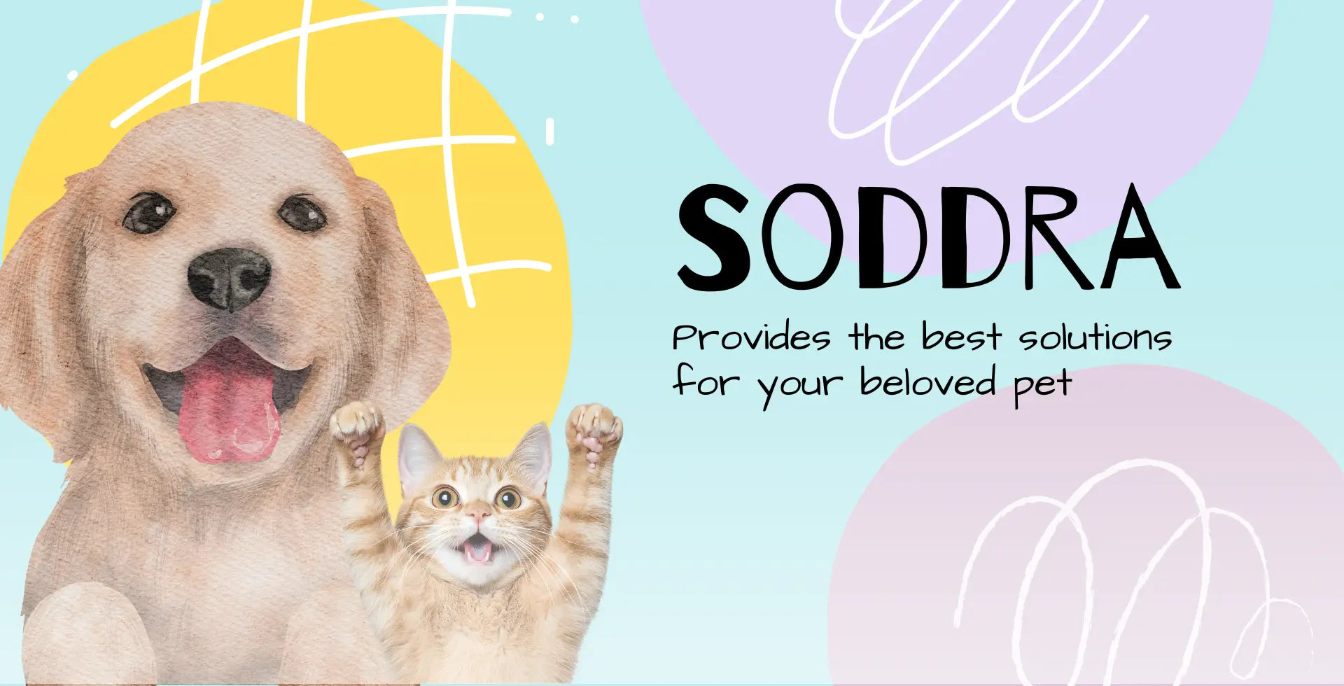 Soddra pet store USA