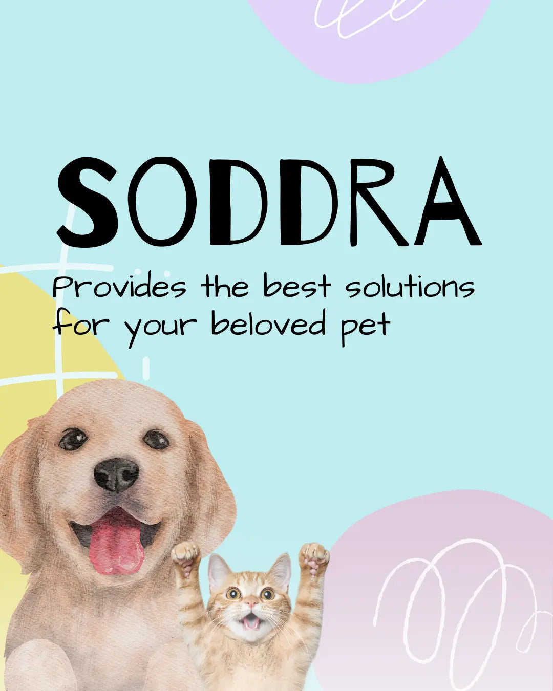 Soddra pet store USA