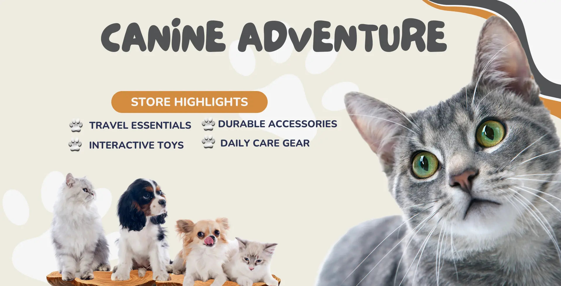 Soddra pet store USA